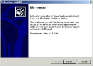 assistant d'accessibilité de windows