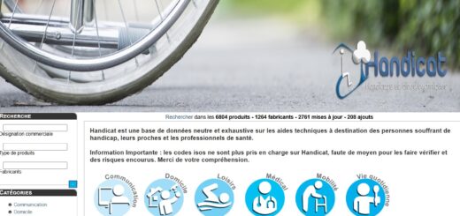 Capture du site Handicat