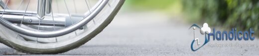 Base de données Handicat