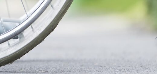 Base de données Handicat